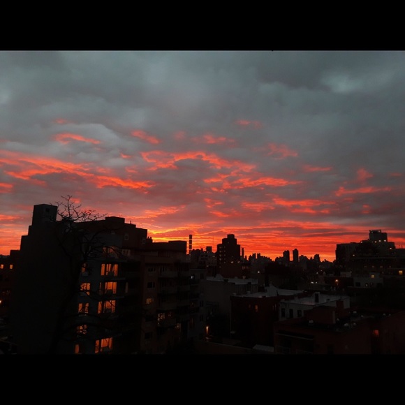 Meet your Posher, Sofia - Picture 1 of 1